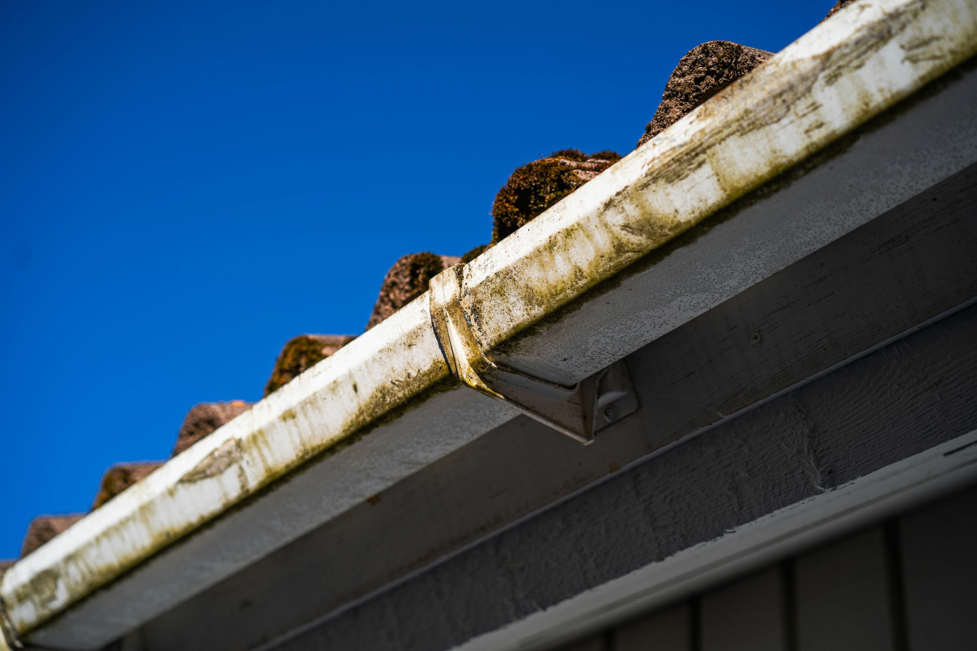 57 Roof Cleaning